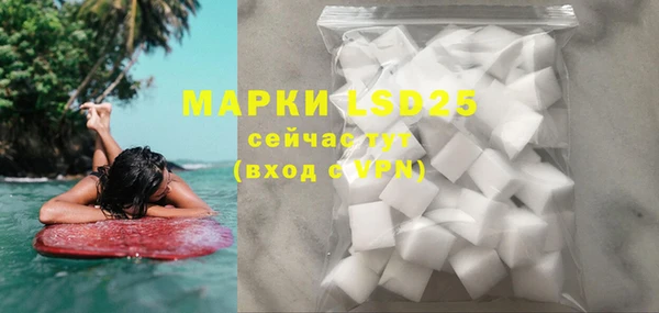 шишки Саяногорск