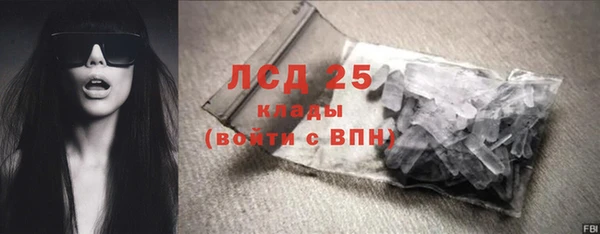 спиды Вяземский