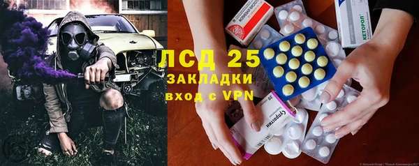 спиды Вяземский