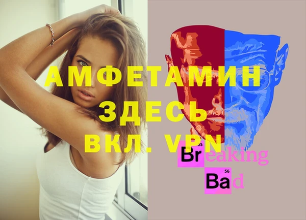 спиды Вяземский