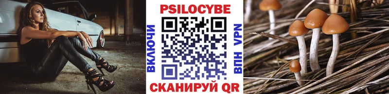где продают наркотики  Гусь-Хрустальный  Псилоцибиновые грибы Magic Shrooms 